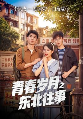 青春岁月之东北往事(全集)